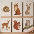 Forest Friends Woodland Animal Digital Art Collection