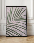 Pink Palm Shadow Botanical Digital Art