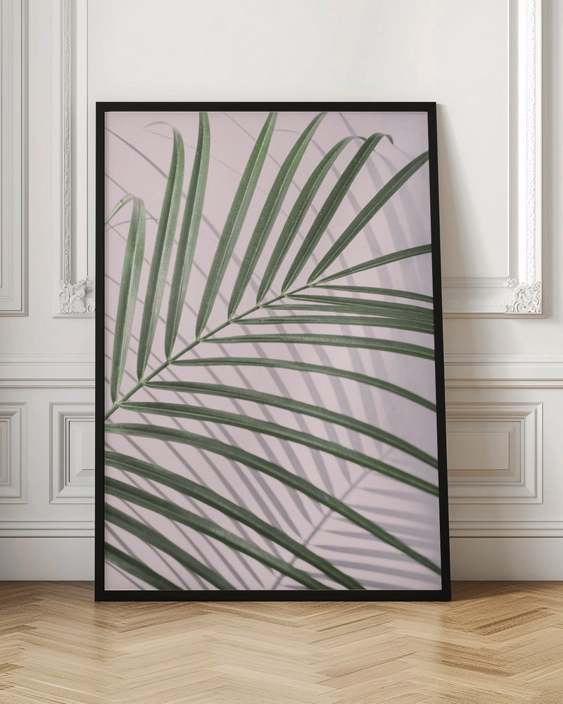 Pink Palm Shadow Botanical Digital Art